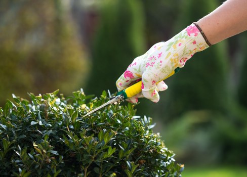 Landscapers Kingston upon Thames introducing a carefully designed garden transformation