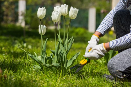 Inspection of completed garden work during a complaint assessment