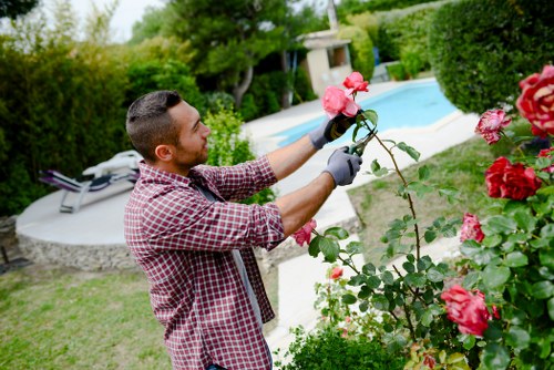Transparent pricing for garden clearance and landscaping in Kingston upon Thames