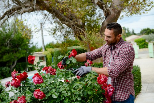 Professional planting services in Kingstonuponthames for a vibrant garden border