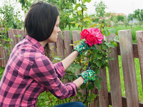 Accepted payment methods for landscaping services