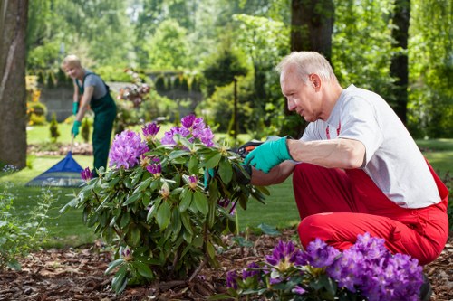 Kingston upon Thames landscaping project focusing on design and structure