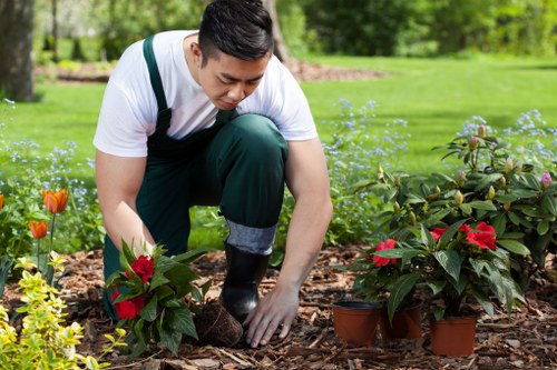 Commercial outdoor planting area kept tidy in Kingston upon Thames