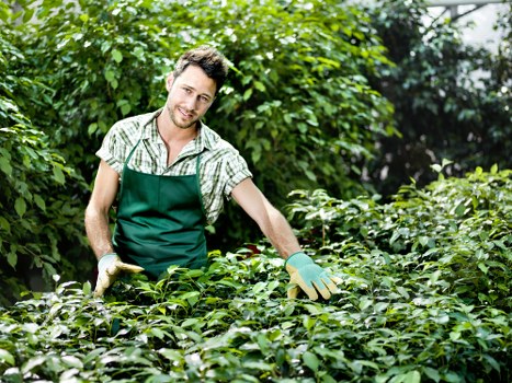 Senior landscaper reviewing a complaint and agreeing next steps