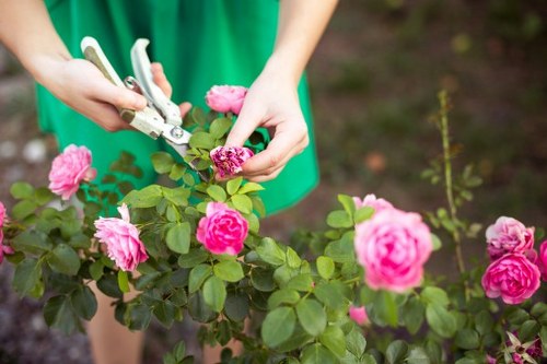 Zero-tolerance policy for modern slavery in landscaping