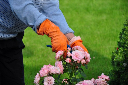 Screen-reader friendly website structure for local landscapers