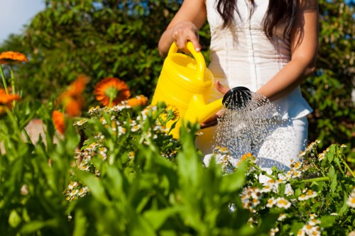 Professional lawn mowing equipment used in Kingston upon Thames
