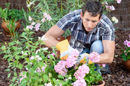 Supplier audit and compliance review in the landscaping supply chain